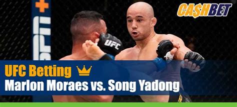 ufc 203 bets|UFC Fight Night 203 Betting Picks & Top Odds .